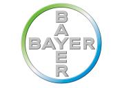 Korean_Melon_Disease